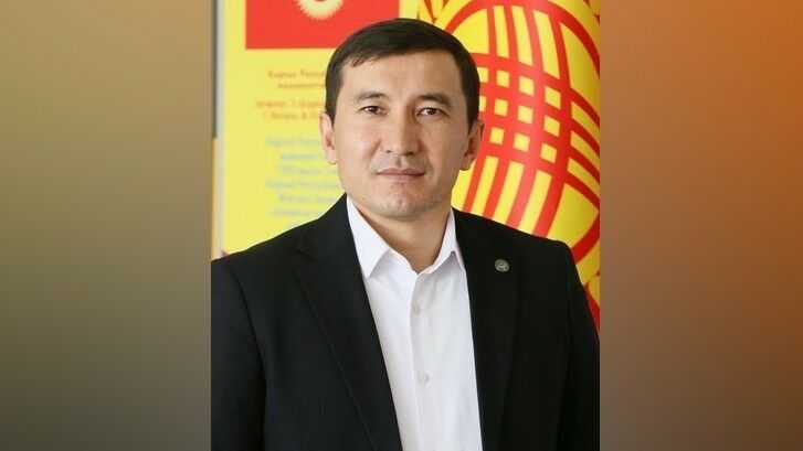 из интернета