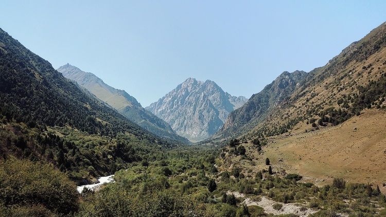Данияра Сатымбаева