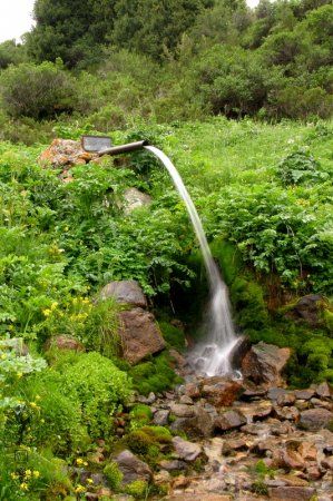 из интернета