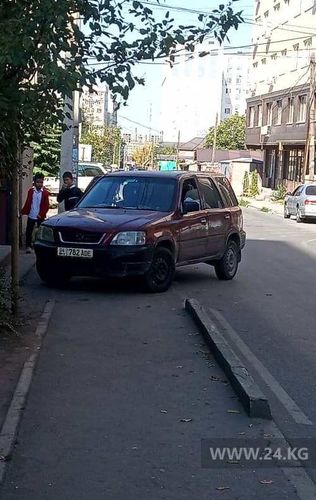 читателя 24-kg.com