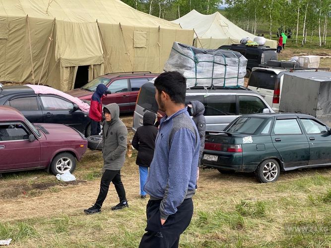 мигрантов из КР