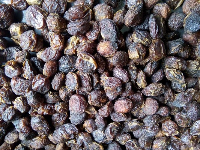 Александра Малышева