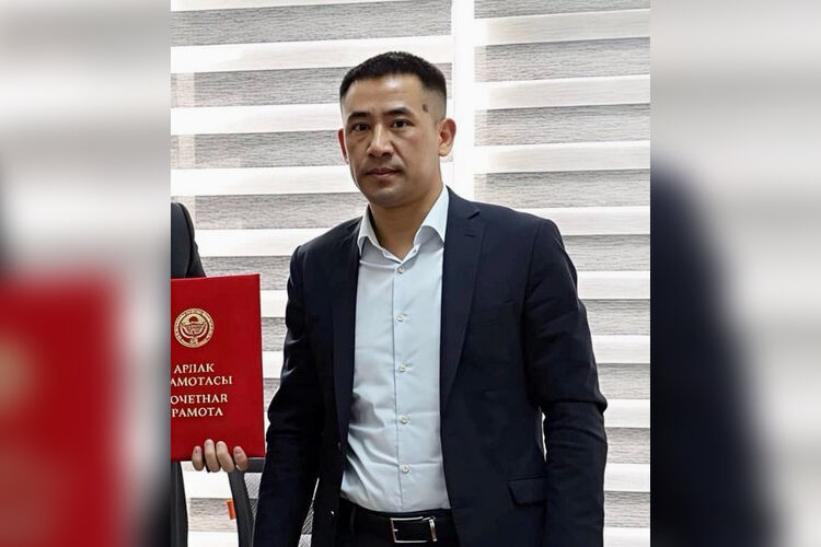 из интернета