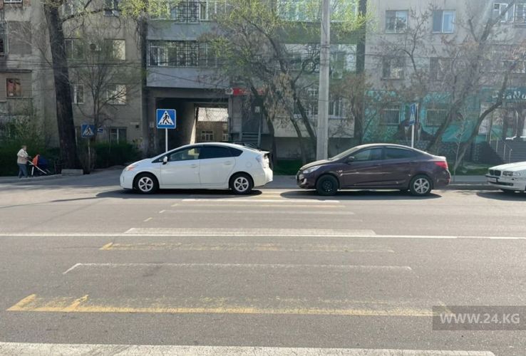 читателя 24-kg.com