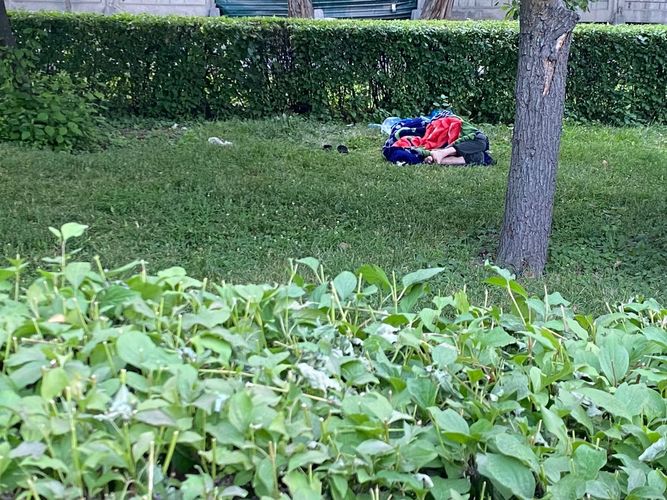 читателя 24-kg.com