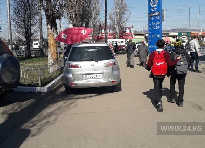 читателя 24-kg.com