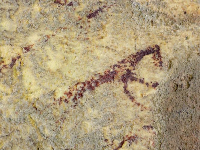 журнала Plos One