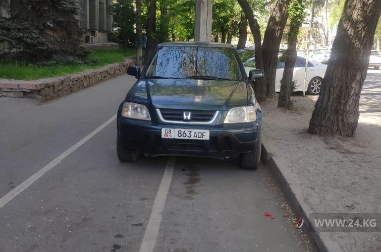 читателя 24-kg.com