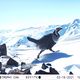 Фото Союза охраны природы Германии (NABU) в Кыргызстане