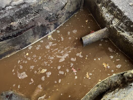 Сливают химические вещества в&nbsp;арык. Жители Новопокровки бьют тревогу 