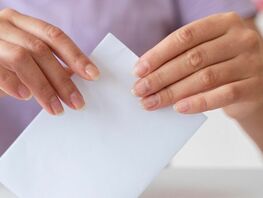 Early elections to Kyrgyzstan’s Parliament may be held on November 30