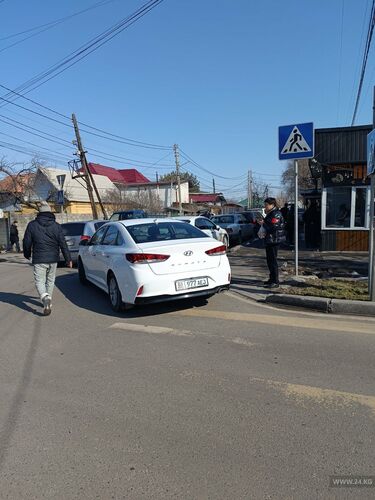 читателя 24-kg.com