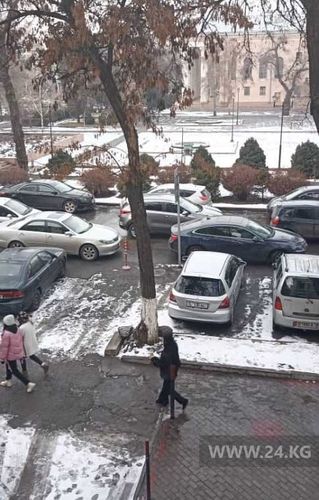 читателя 24-kg.com