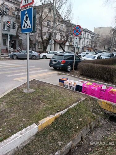 читателя 24-kg.com