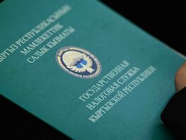 В&nbsp;Кыргызстане продлили срок подачи заявок на&nbsp;единый налог до&nbsp;1&nbsp;марта 