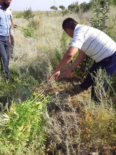 УВД Баткенской области