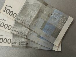 В&nbsp;КР&nbsp;будут платить по&nbsp;3&nbsp;тысячи сомов на&nbsp;детей: кому предназначено это пособие 
