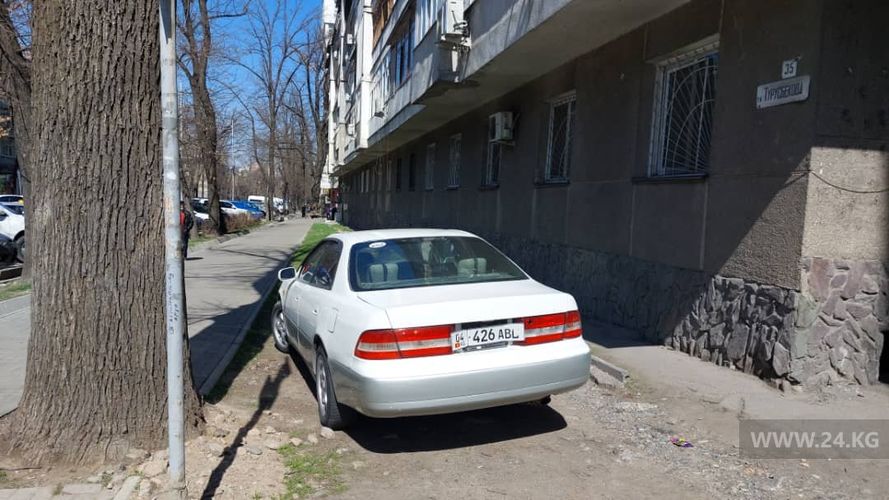 читателя 24-kg.com