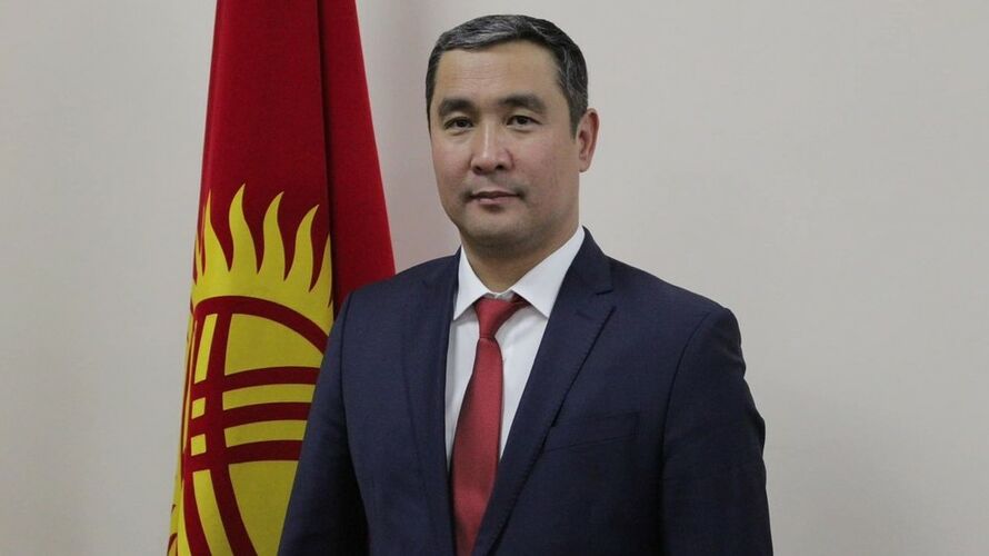 из интернета