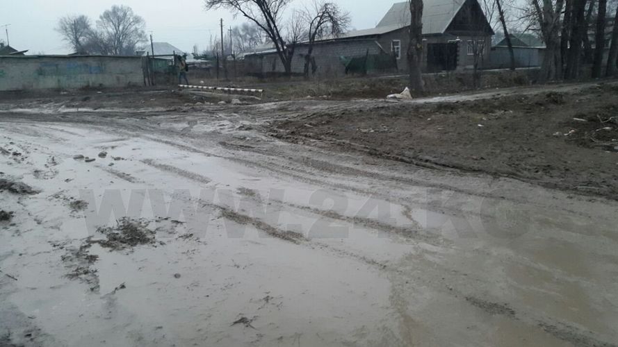 "Агент 024"