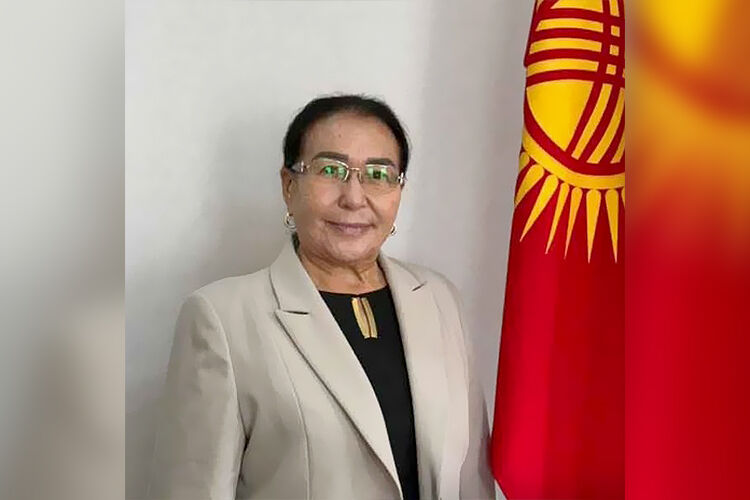 из интернета